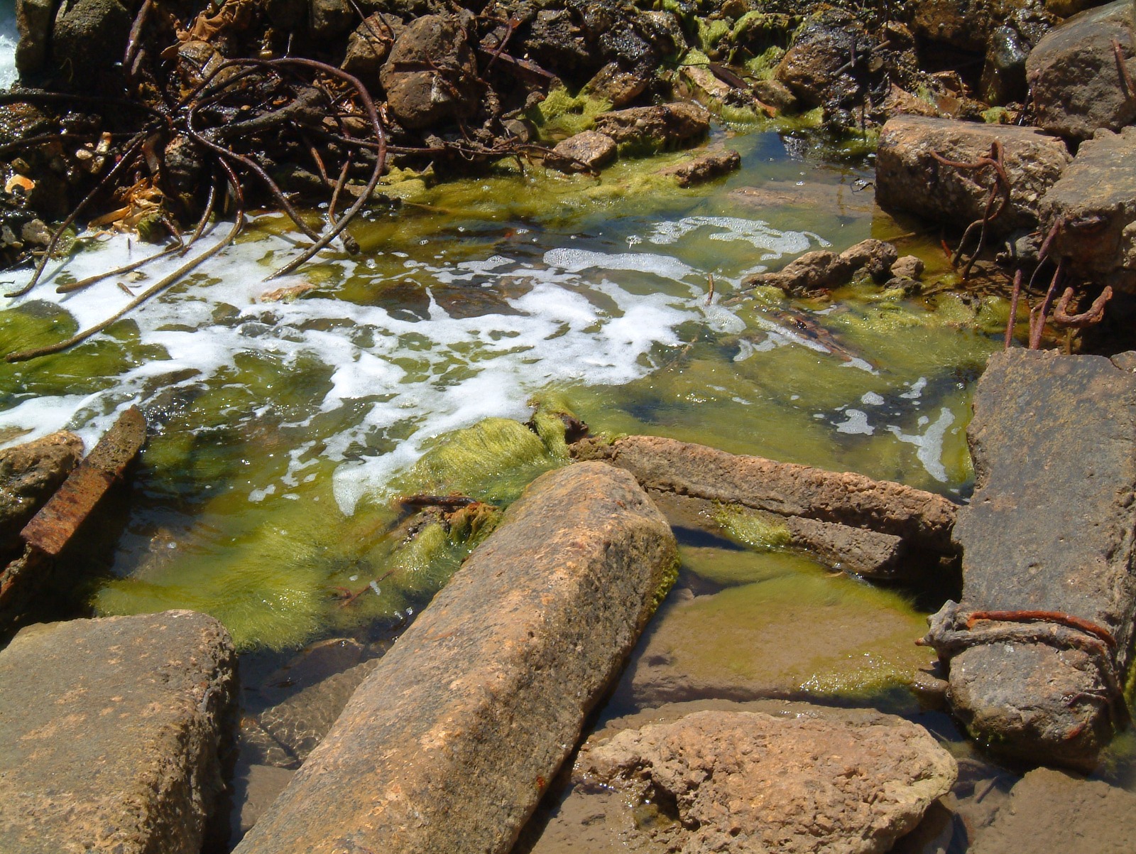 WhatsApp Image 2022-07-26 at 10.19.25 AM (1).jpeg